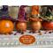 This image shows the back of the Halloween witches. I engrave their names into the gourd shell using wood-burning tools.